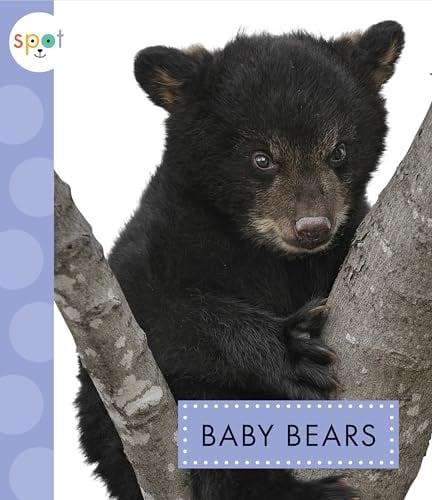 Baby Bears (Spot Baby Animals)
