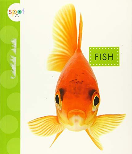Fish (Spot Pets)