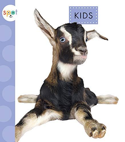 Kids (Spot Baby Farm Animals)