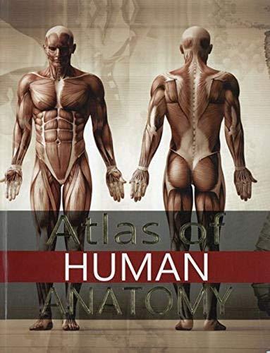 Atlas of Human Anatomy (Med Plus)