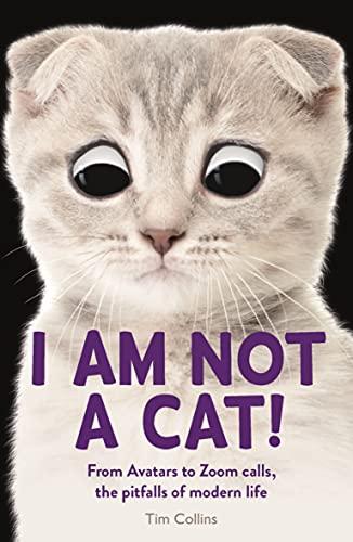 I Am Not a Cat!: From Avatars to Zoom Calls — the Pitfalls of Modern Life