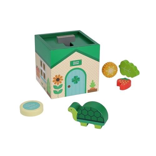 Tilly Tortoise (Petit Pals)