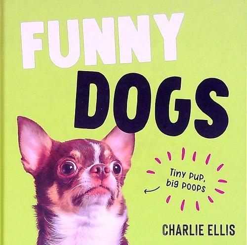 Funny Dogs