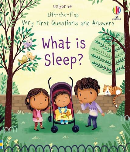 What Is Sleep? (Very First Questions and Answers)