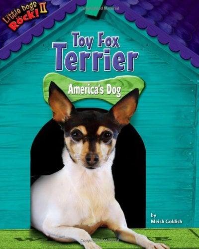 Toy Fox Terrier: America's Dog (Little Dogs Rock! II)