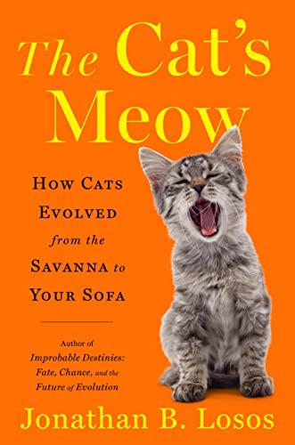 The Cat's Meow: How Cats Evolved From the Savanna to Your Sofa