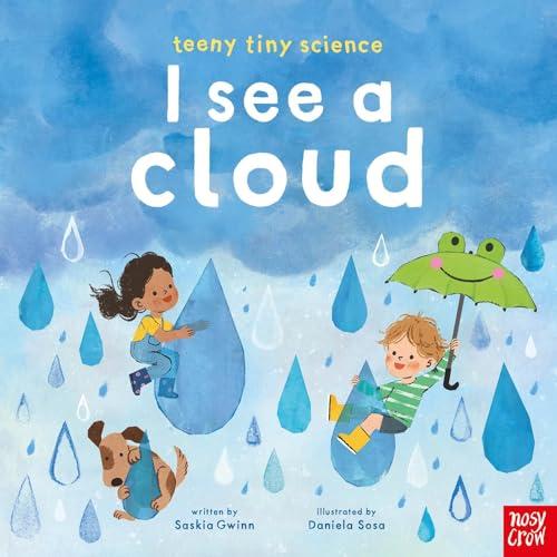 I See a Cloud (Teeny Tiny Science)