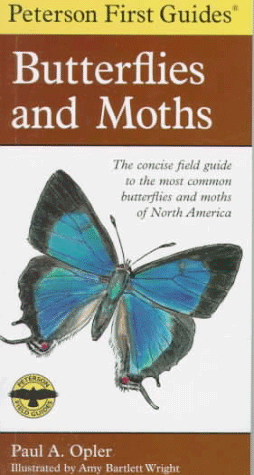 Butterflies and Moths (Peterson First Guides)