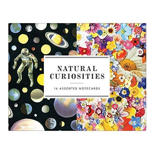 Natural Curiosities Assorted Notecards