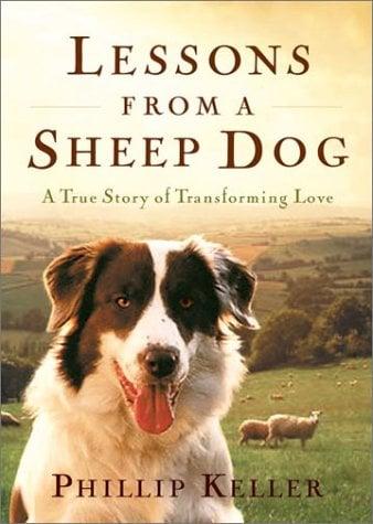 Lessons from a Sheep Dog