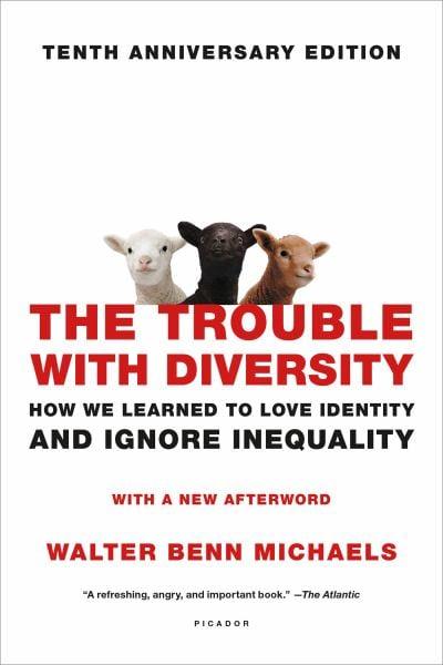 The Trouble with Diversity - How We Learned to Love Identity and Ignore Inequality