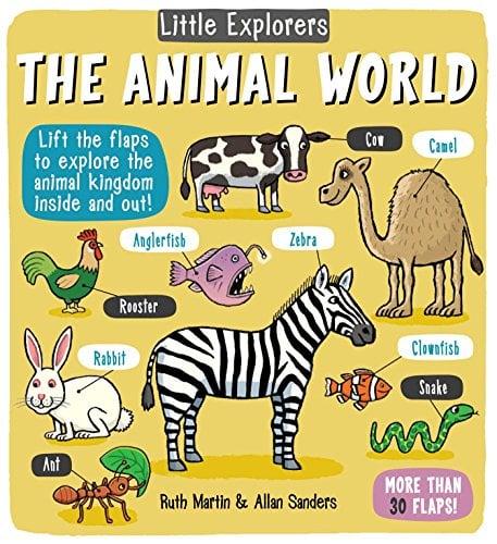 The Animal World (Little Explorers)