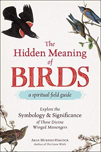 The Hidden Meaning of Birds: A Spiritual Field Guide