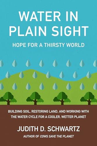 Water in Plain Sight: Hope for a Thirsty World