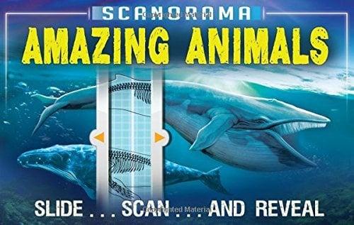 Amazing Animals (Scanorama)