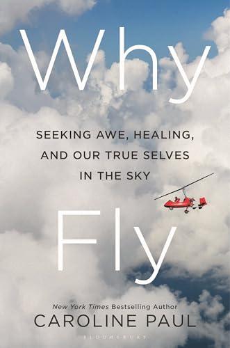 Why Fly: Seeking Awe, Healing, and Our True Selves in the Sky