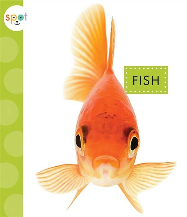 Fish (Spot Pets)