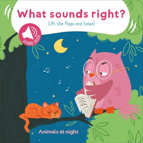 Animals at Night: Lift the Flaps and Listen! (What Sounds Right?)