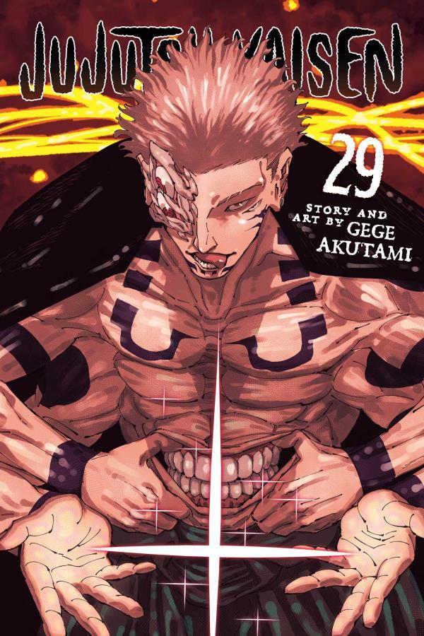 Jujutsu Kaisen (Volume 29)
