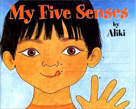 My Five Senses (Oversized)