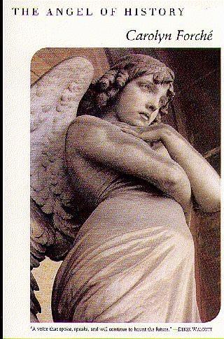 The Angel of History
