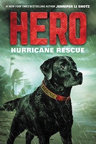 Hurricane Rescue (Hero, Bk. 2)