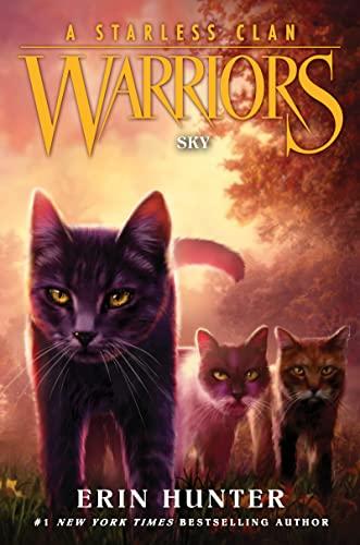 Sky (Warriors: A Starless Clan, Bk. 2)