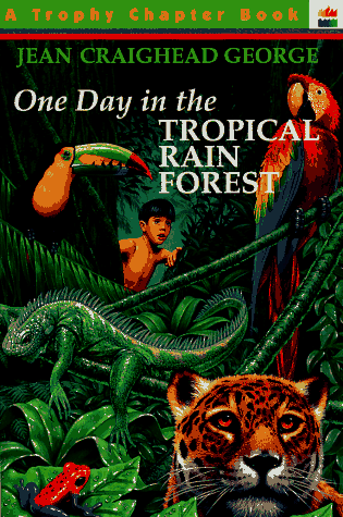One Day In The Tropical Rain Forest