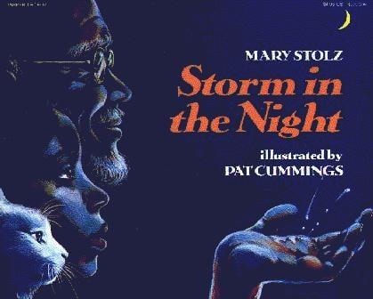 Storm In The Night