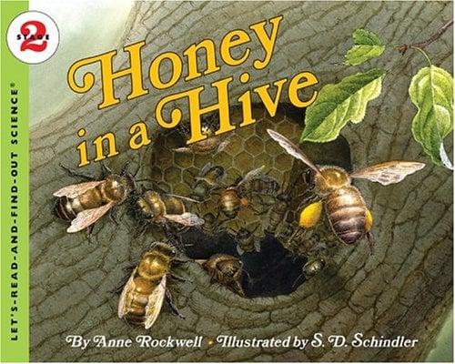Honey In A Hive (Let's-Read-and-Find-Out Science, Stage 2)