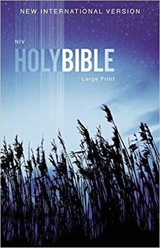 NIV Outreach Bible (Large Print)