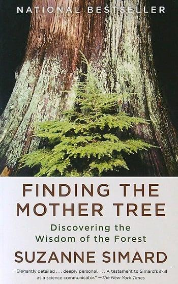 Finding the Mother Tree: Discovering the Wisdom of the Forest