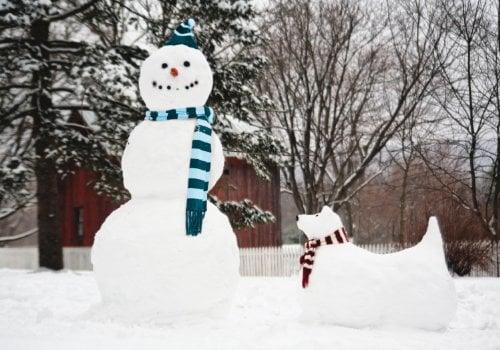 Snowman & Snow Dog Boxed Holiday Half Notecards