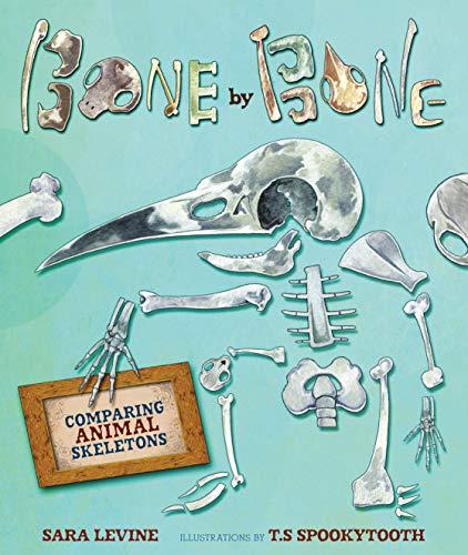 Bone by Bone: Comparing Animal Skeletons (Animal by Animal)