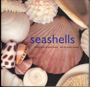 Seashells