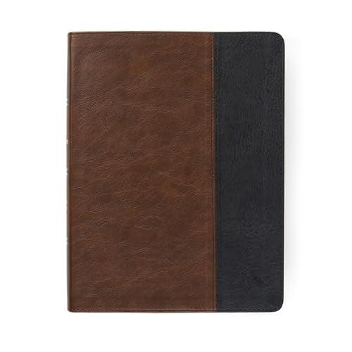 CSB Men of Character Bible (Indexed, Brown/Black LeatherTouch)