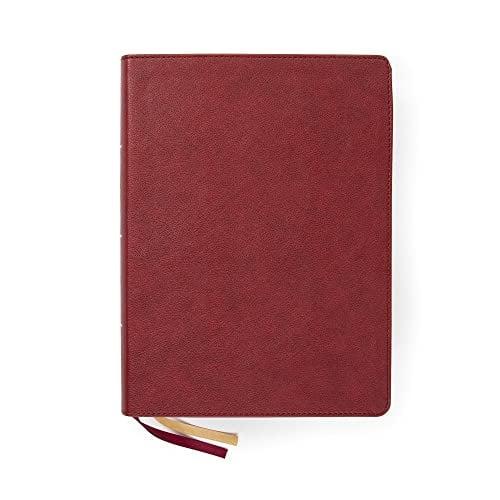 CSB Holy Land Illustrated Bible (Thumb Indexed, Burgundy LeatherTouch)