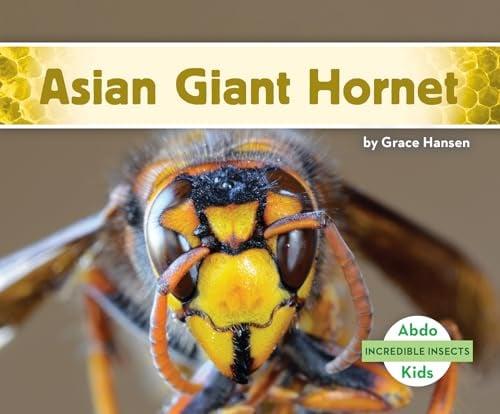 Asian Giant Hornet (Incredible Insects)