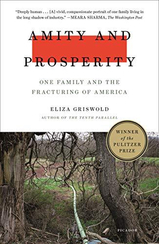 Amity and Prosperity: One Family and the Fracturing of America