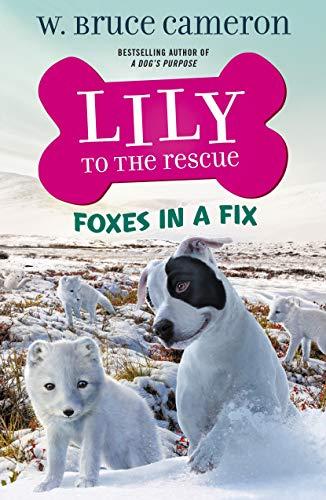 Foxes in a Fix (Lily to the Rescue!, Bk. 7)