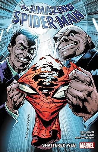 Shattered Web (Amazing Spider-Man, Volume 12)