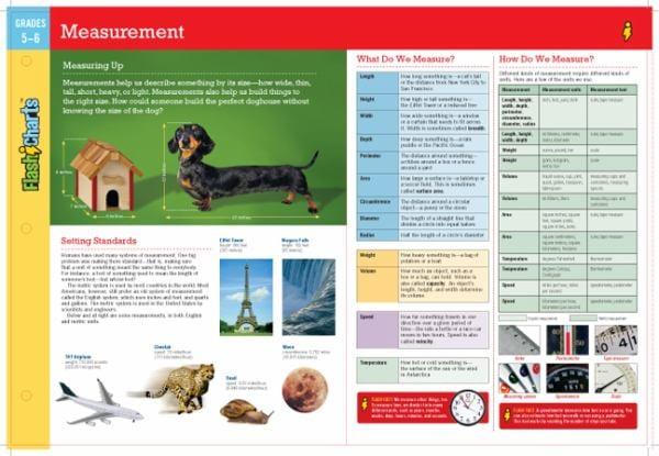 Measurement (FlashCharts, Grades 5-6)