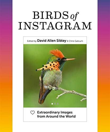 Birds of Instagram: Extraordinary Images from Around the World