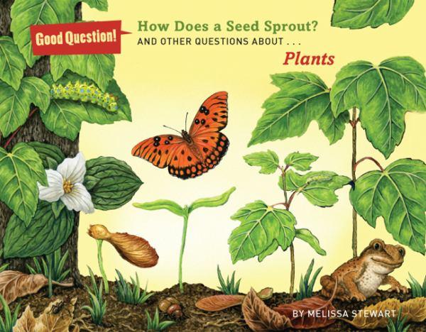 How Does a Seed Sprout?: And Other Questions About... Plants (Good Question!)