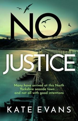 No Justice (DC Donna Morris, Bk. 3)