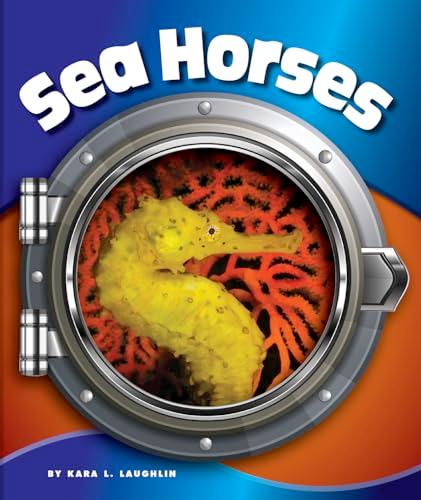 Sea Horses (In the Deep Blue Sea)