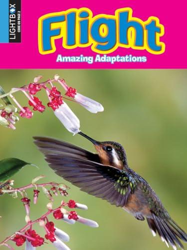Flight (Amazing Adaptations)