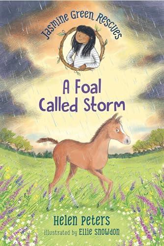 A Foal Called Storm (Jasmine Green Rescues, Bk. 8)