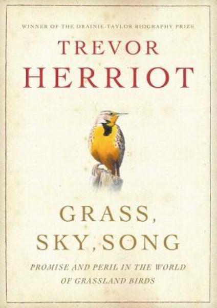 Grass, Sky, Song: Promise And Peril In World Of Grassland Birds