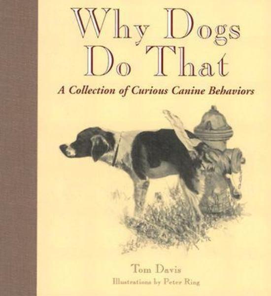 Why Dogs Do That